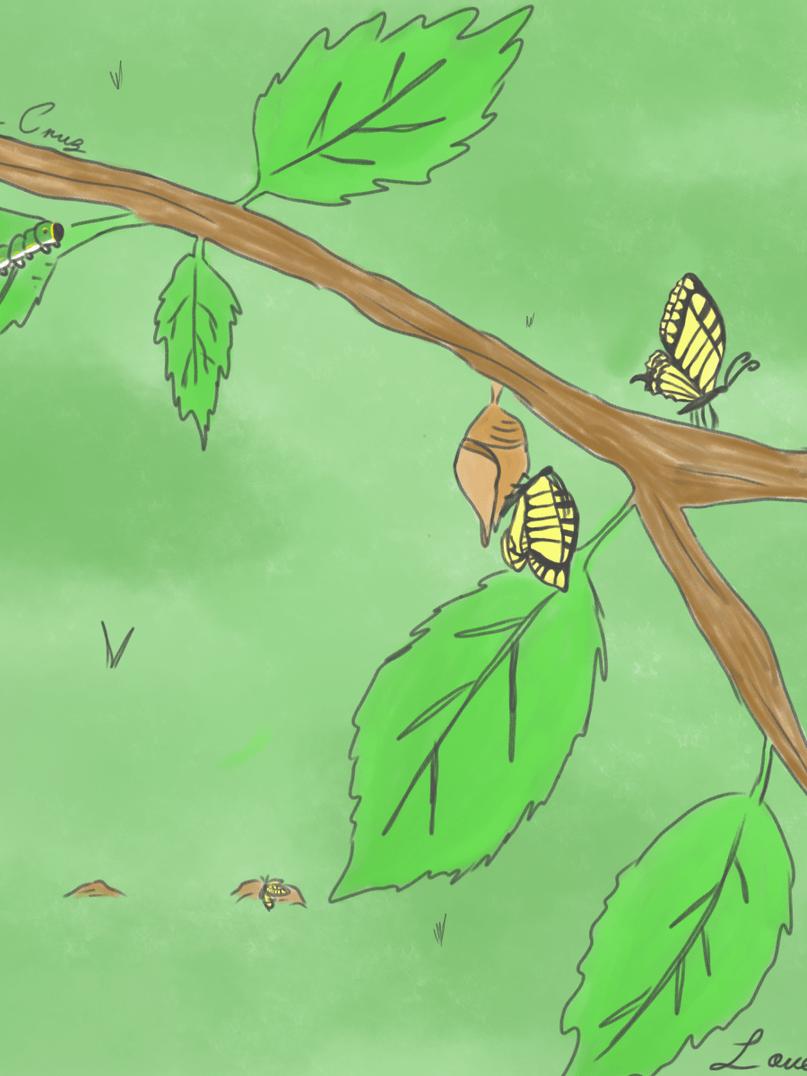 Los ciclos de nuestra&nbsp;vida