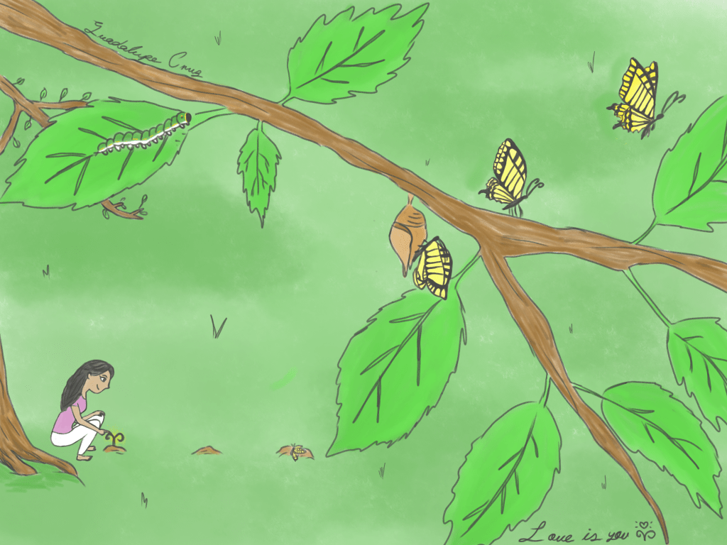 Los ciclos de nuestra&nbsp;vida